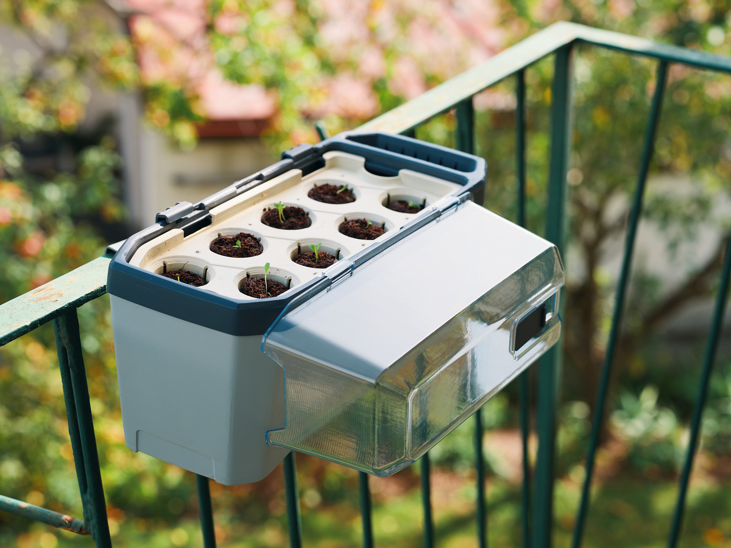 Harry Herbs - Hanger voor het balkon (2-delig)