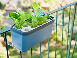 HARRY HERBS - Cintre pour le balcon (2 pièces)