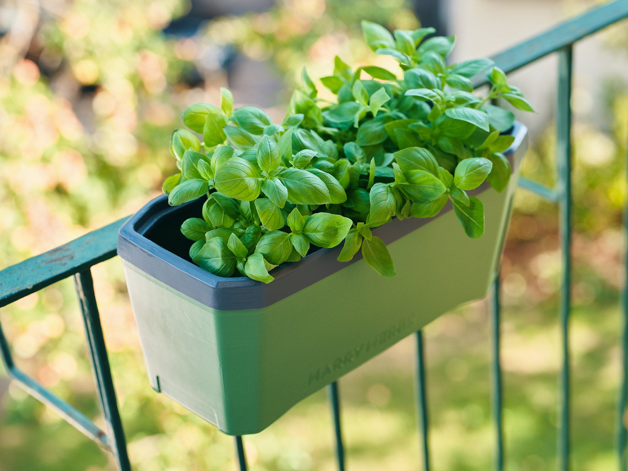 Harry Herbs - Hanger voor het balkon (2-delig)