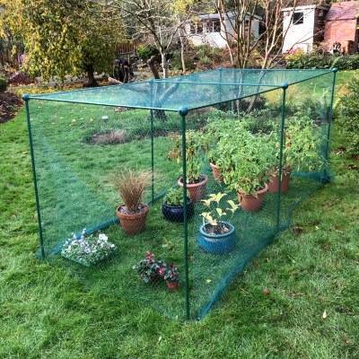 Cage de 1,25 m de haut sur 1 m de large avec BIRD NET idéale pour les petits fruits (Choisissez la longueur)