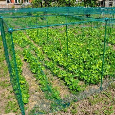 Cage de 1,25 m de haut sur 1 m de large avec BIRD NET idéale pour les petits fruits (Choisissez la longueur)