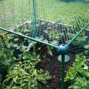 Cage de 1,25 m de haut sur 1 m de large avec BIRD NET idéale pour les petits fruits (Choisissez la longueur)