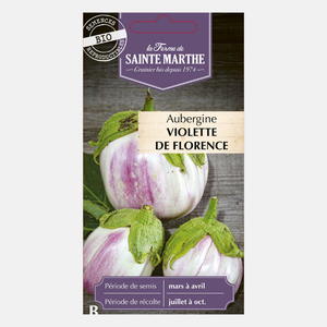 Aubergine 'Violetta di Firenze' BIO