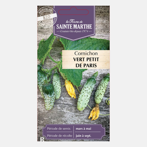 Cornichon 'Petit de Paris' BIO