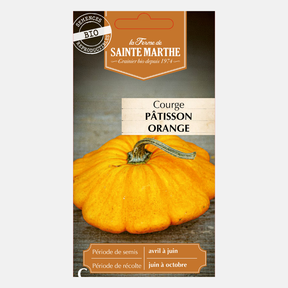 Citrouille 'Patisson Oranje' BIO