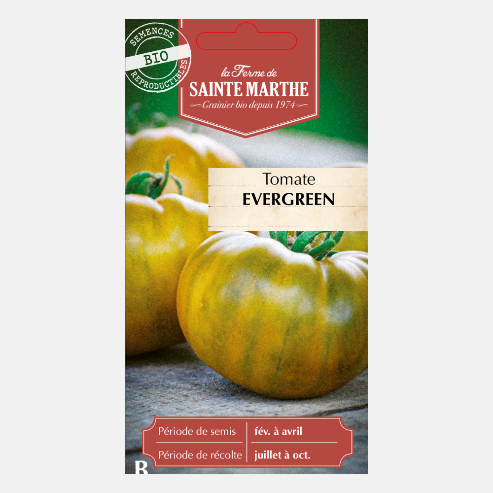 Tomate 'Evergreen' BIO