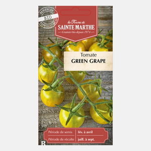 Tomate 'Grape Vert' BIO