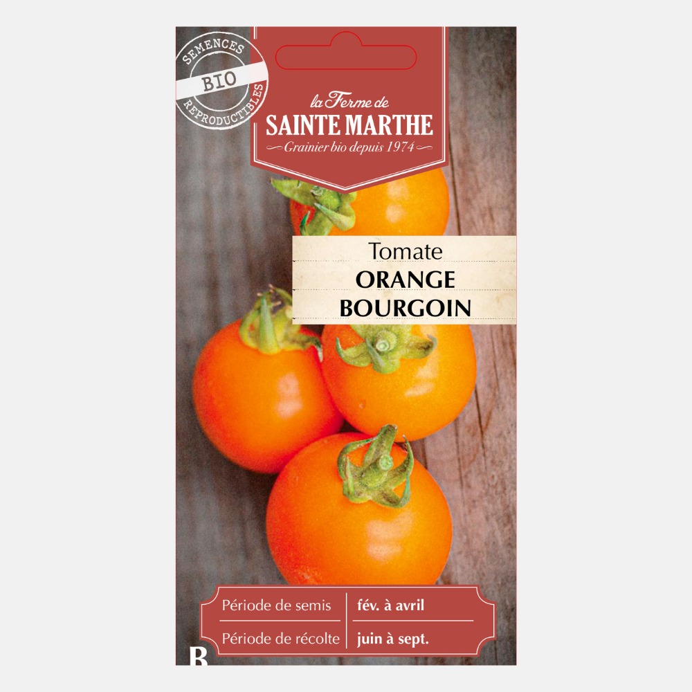 Tomaat 'Orange Bourgoin' BIO