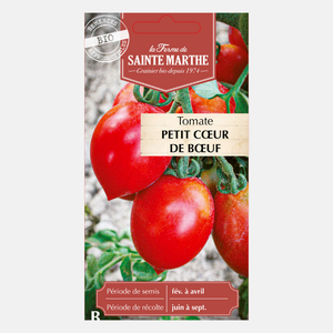 Tomate 'Petit Coeur de Boef' BIO