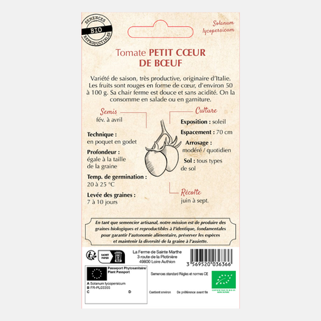 Tomate 'Petit Coeur de Boef' BIO