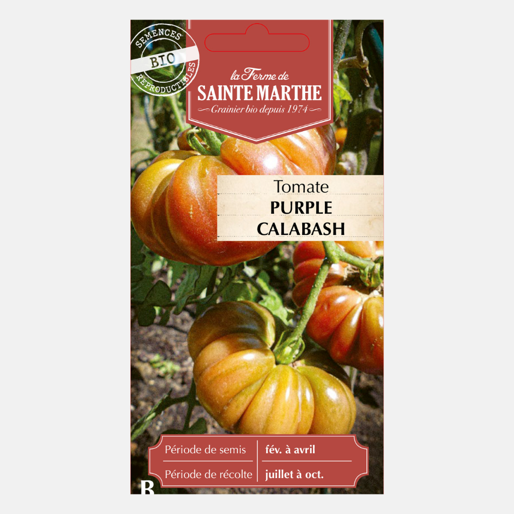 Tomaat 'Purple Calabash' BIO