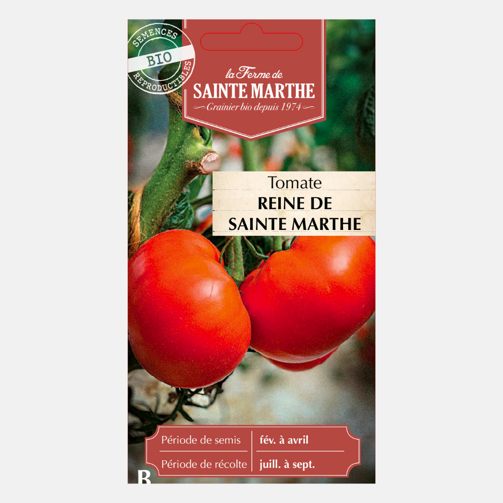 Tomaat 'Reine de Sainte Marthe' BIO