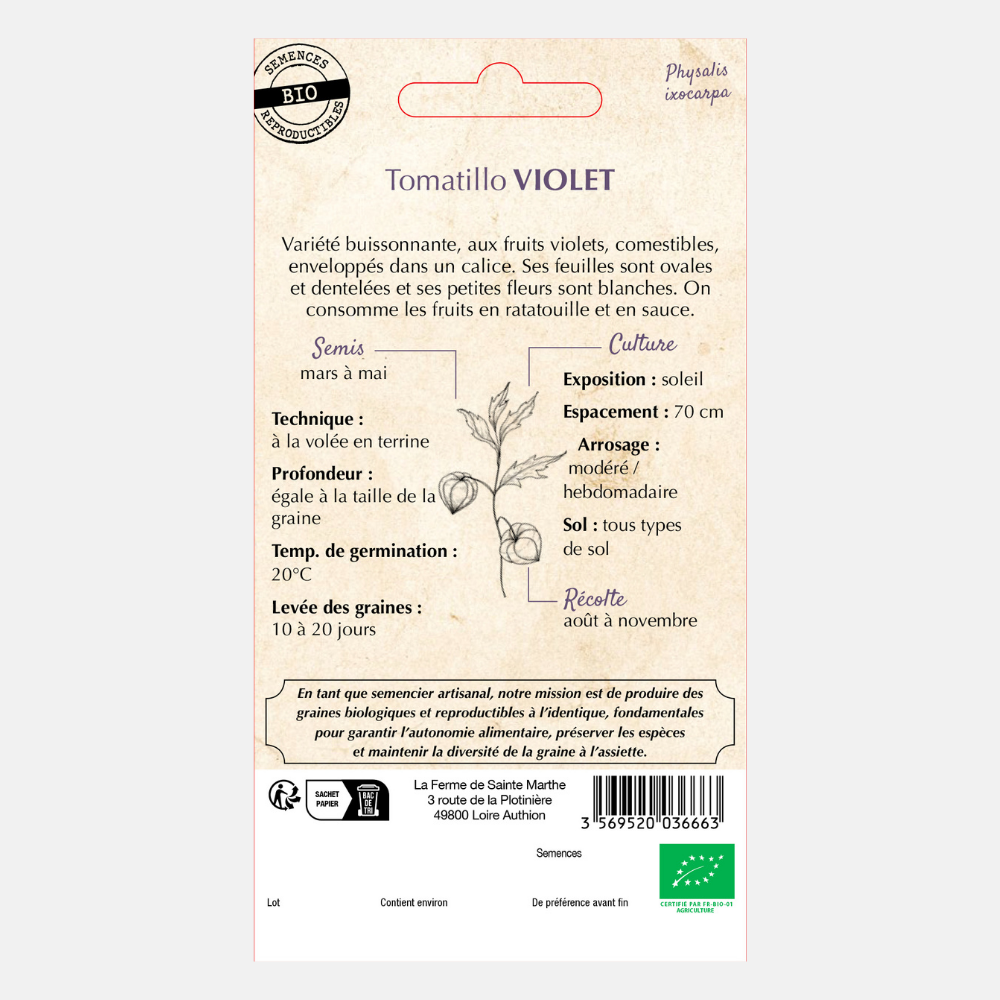 Tomatille ou Cresson 'Violet' BIO