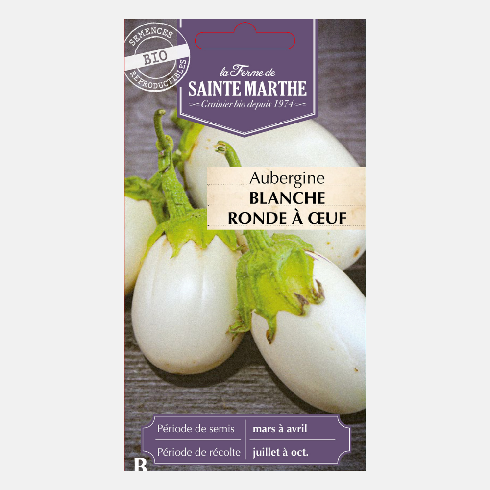 Aubergine pour pot 'BLANCHE RONDE A OEUFS' BIO