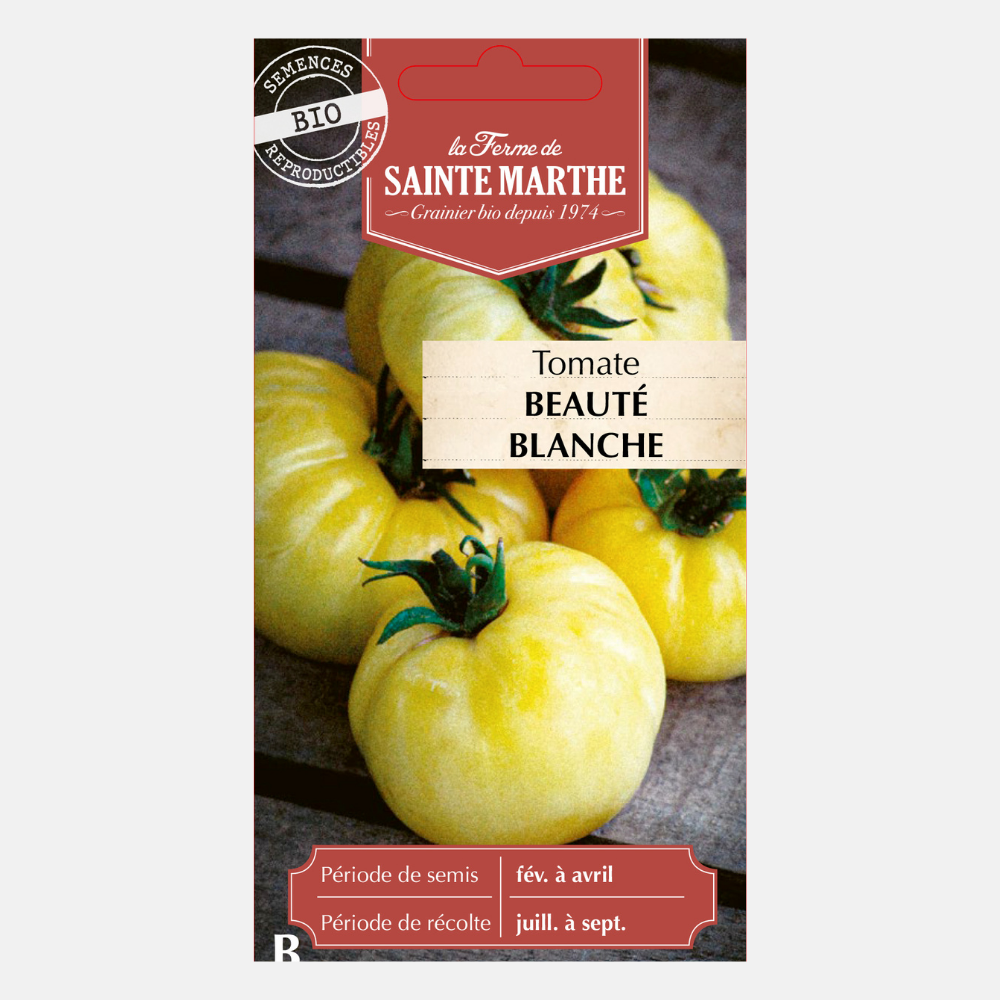 Tomate 'Beauté Blanche' BIO