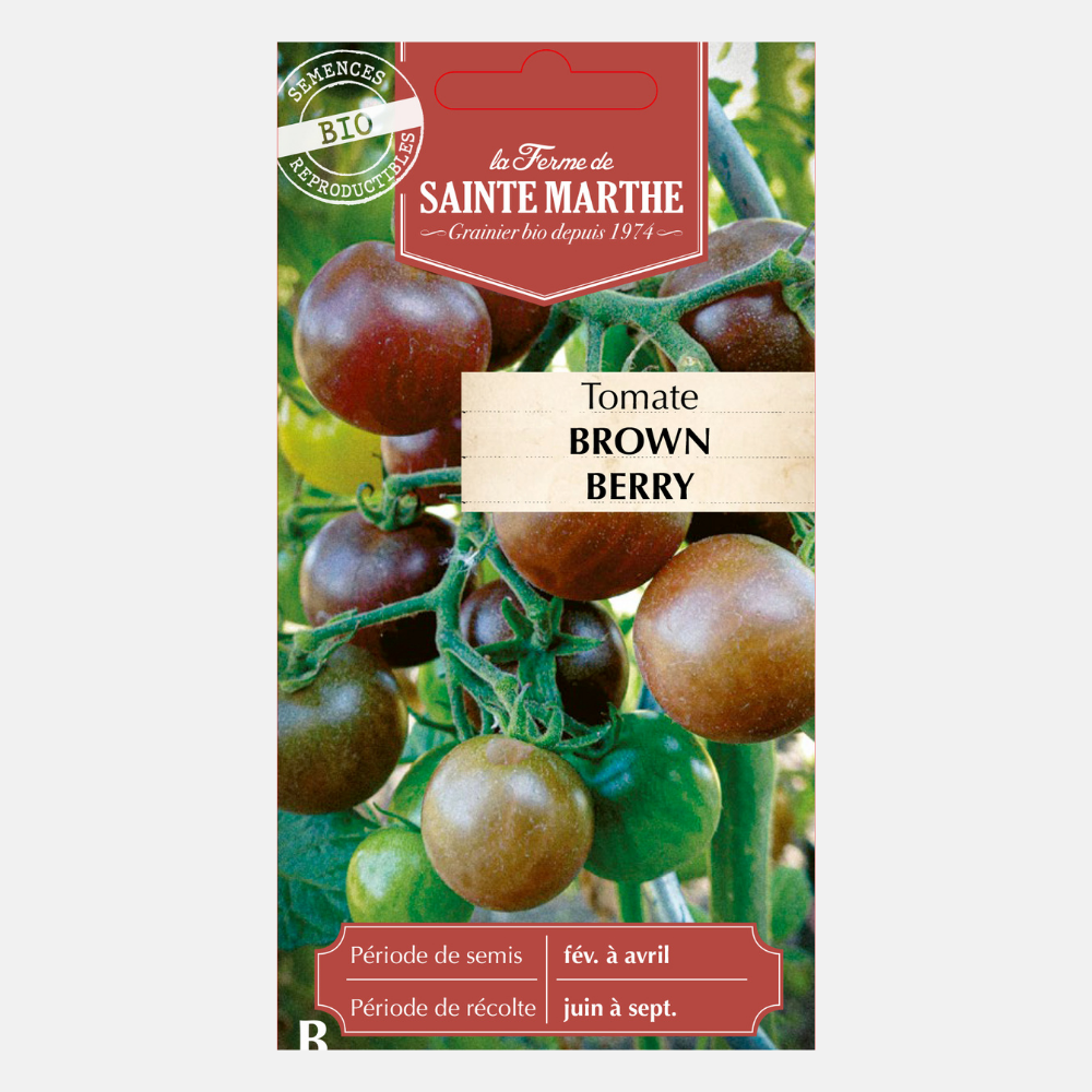 Tomate 'Brown Berry' BIO