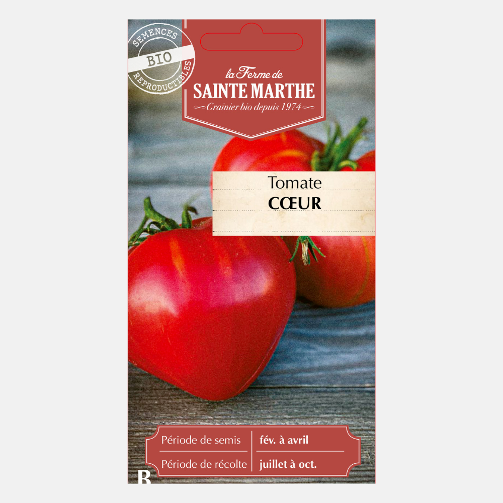 Tomate 'Cœur' BIO