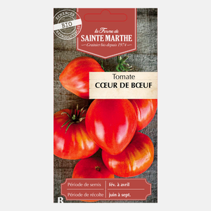 Tomate 'Cœur de Boef' BIO