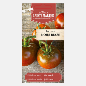 Tomate 'Noire Russe' BIO