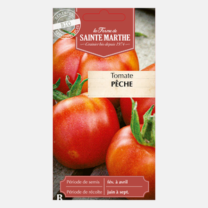 Tomate 'Pêche' BIO