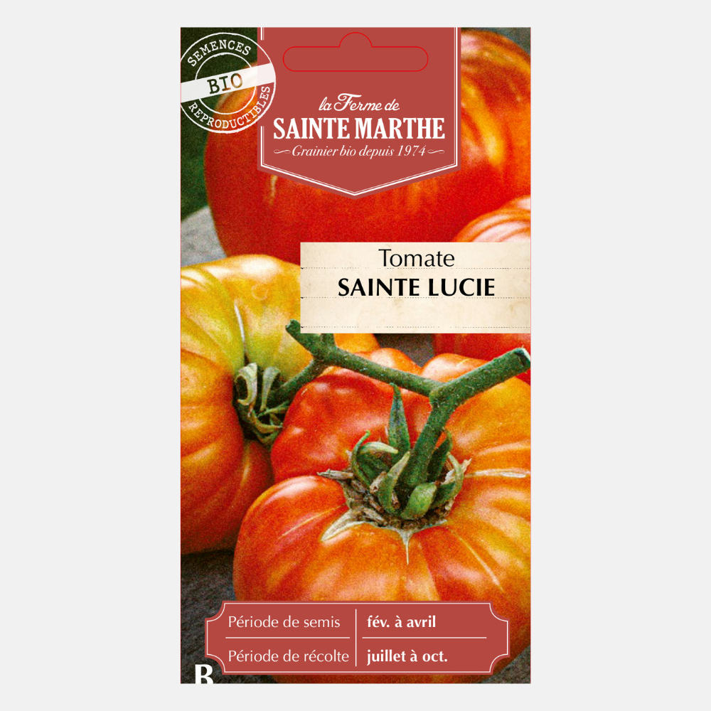 Tomatensamen Sainte Lucie BIO (frühe Sorte)