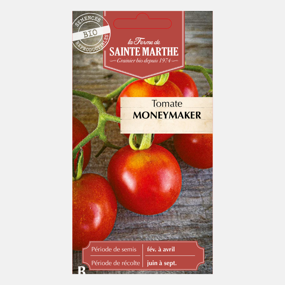 Tomate 'Moneymaker' BIO