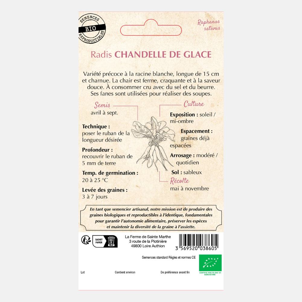 Ruban de semences Ruban de semences 3 mètres radis blanc 'Chandelle de Glace BIO 