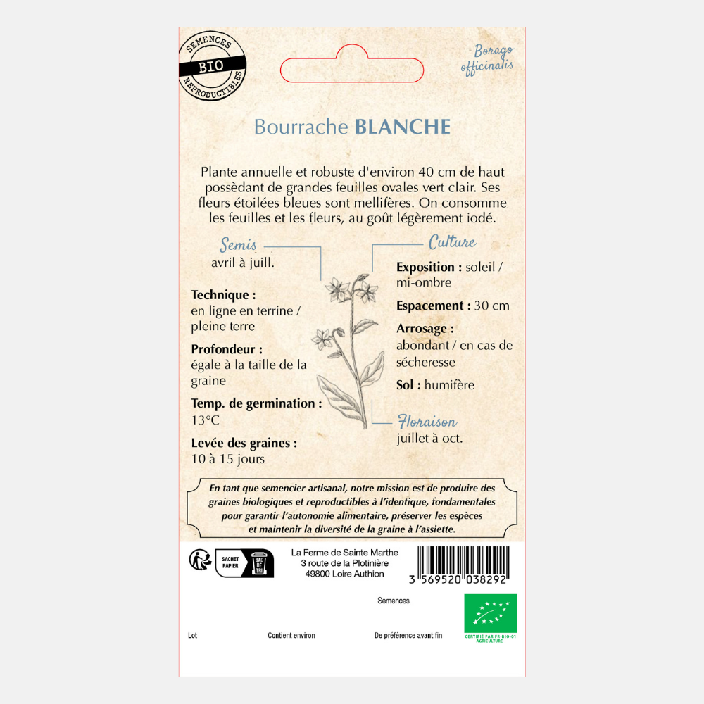 Weißes Gurkenkraut (Borretsch officinalis bianca) BIO-Samen