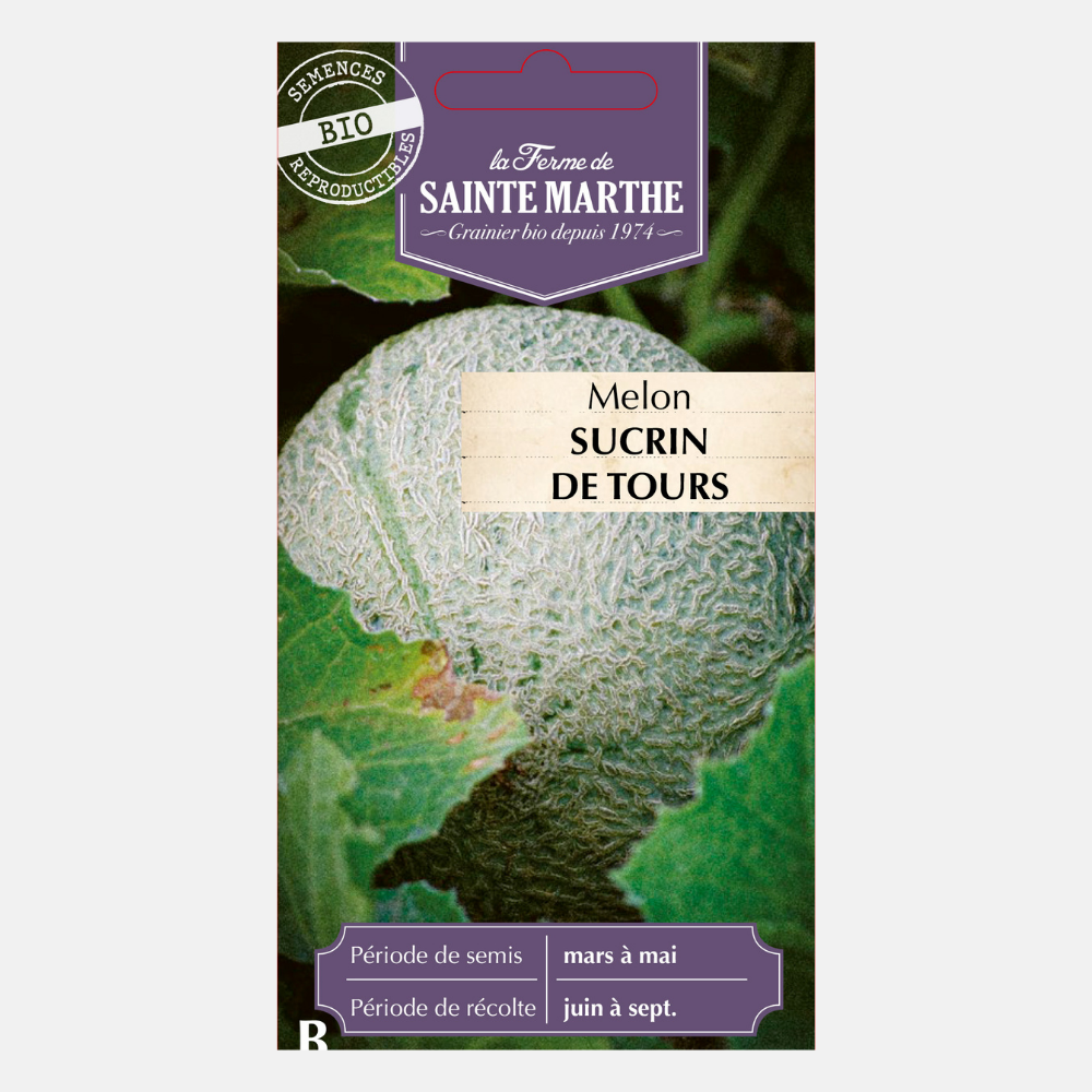 Melone 'Sucrin de Tours' Bio-Samen