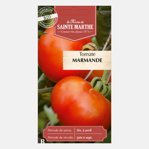 Tomate 'Marmande' BIO