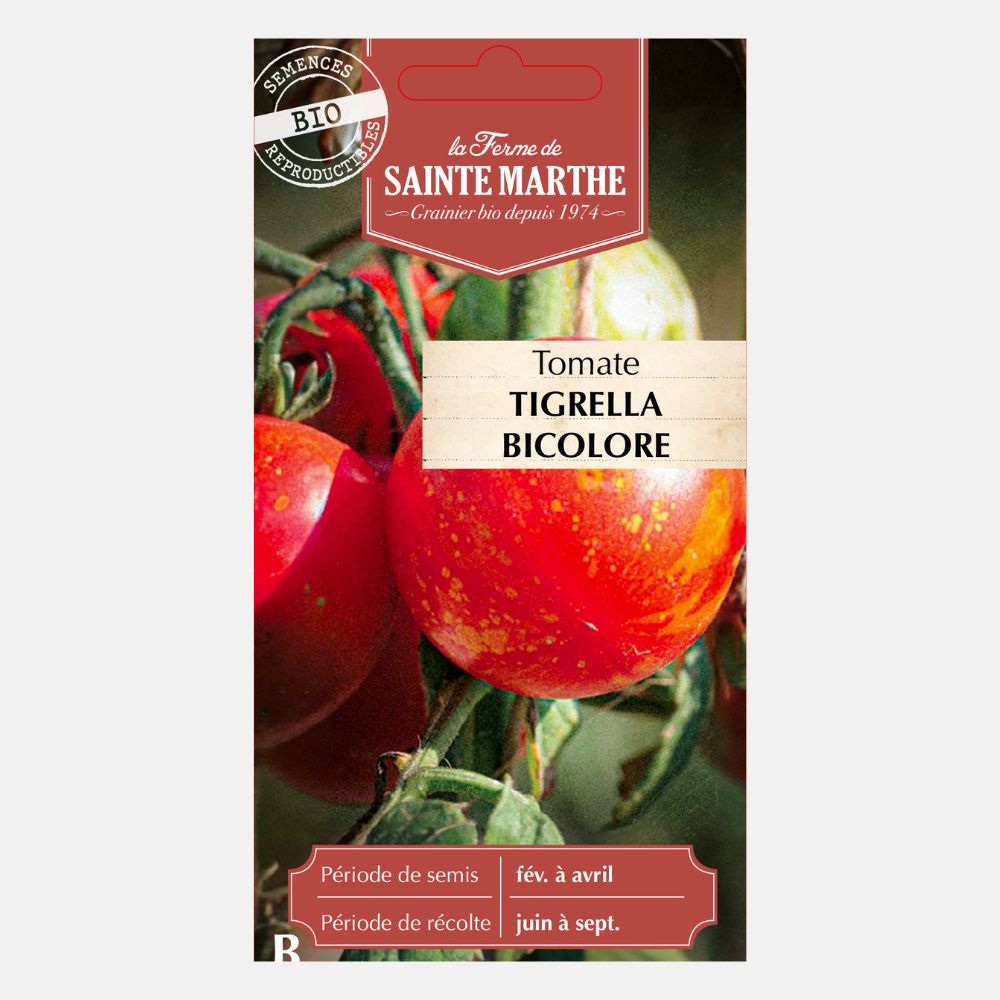 Tomate 'Tigrella Bicolor' BIO