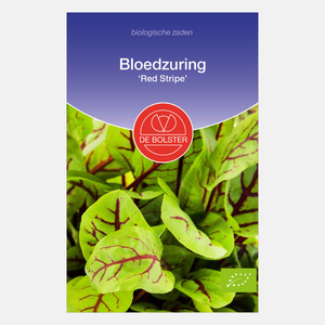 Bloedzuring 'Red Stripe' BIO