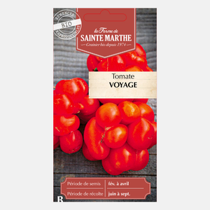 Tomate 'Voyage' BIO