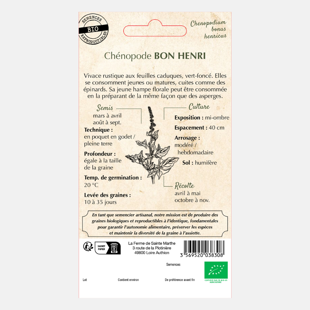 Graines Brave Hendrik (Chenopodium bonus-henricus) BIO