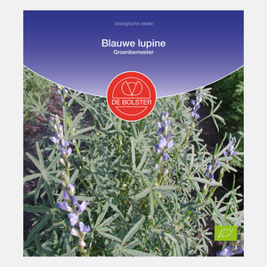 Blauwe lupine - Groenbemester BIO