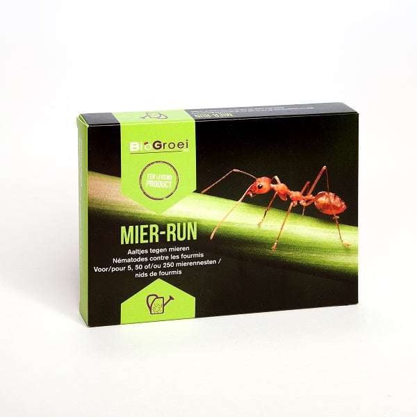 Combattre les fourmis avec Ant Run 250m²