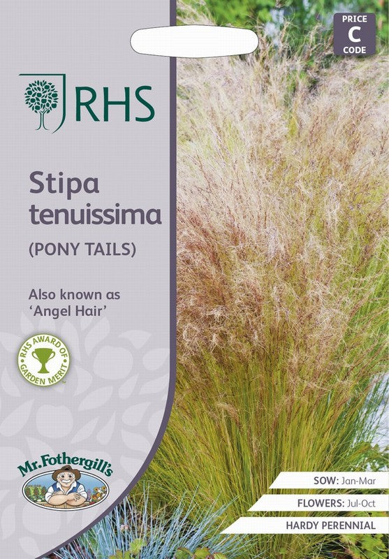 Mexikanisches Federgras Stipa tenuissima (Pferdeschwänze) – 100 Samen