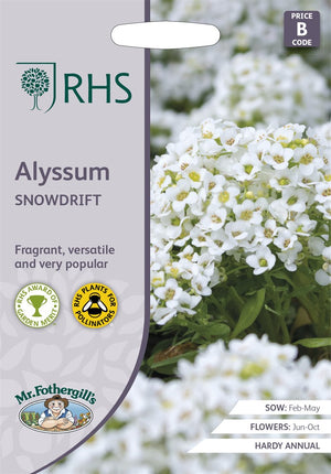 Graines de coquillage Graines de peau d'argent Alyssum lobularia maritima Snowdrift - 1500 graines