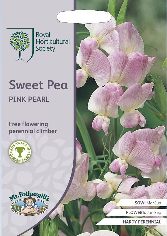 Pronk- of reukerwt Lathyrus  Pink Pearl  -  25 Zaden