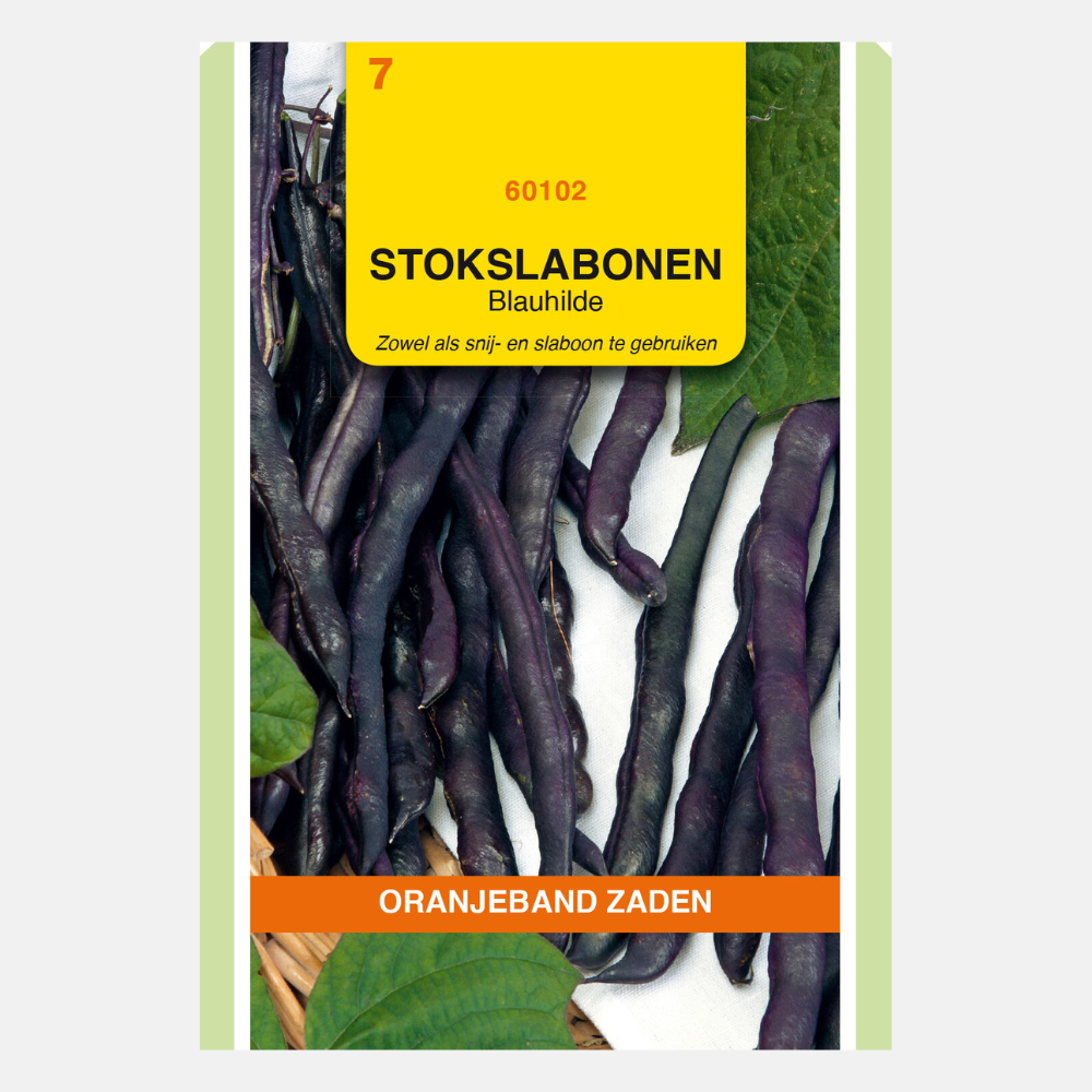 Stick-Prinzessbohnen lila Blauhilde 100 Gramm - Orangenbandsamen