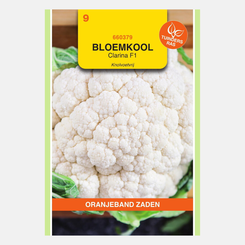 Bloemkool 'Clarina' F1 Knolvoetvrij