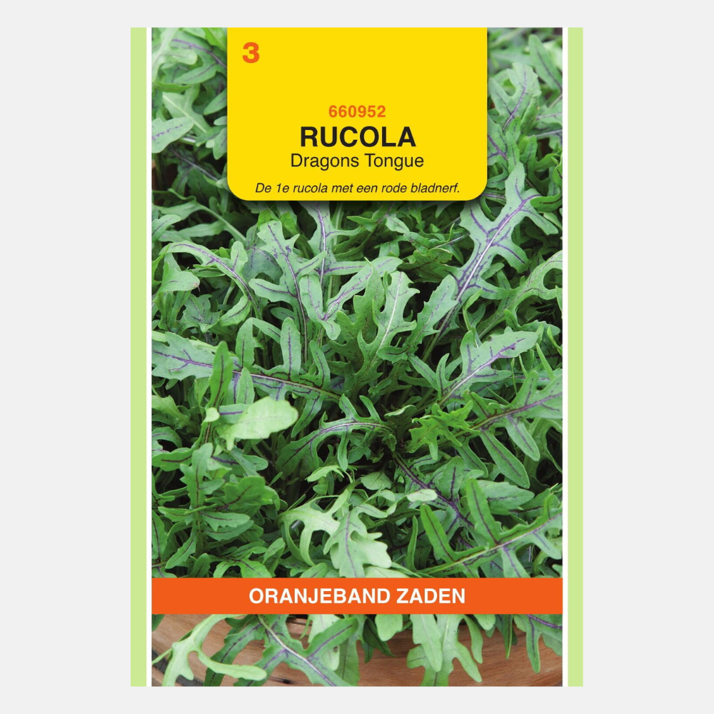 Wilde Rucola 'Dragons Tonque'