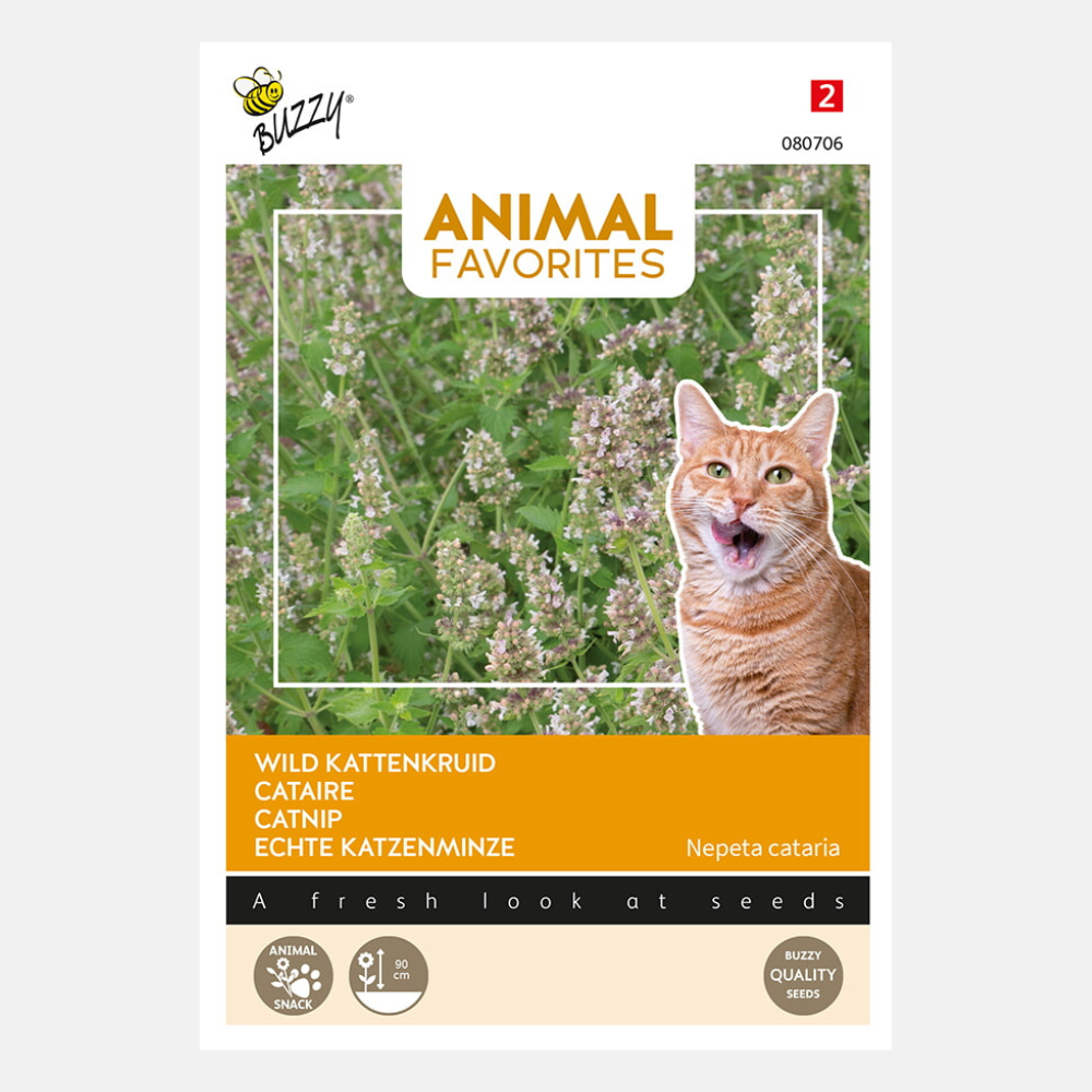 Herbe à chat pour chats