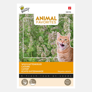 Animal Favorites Herbe à chat pour chats