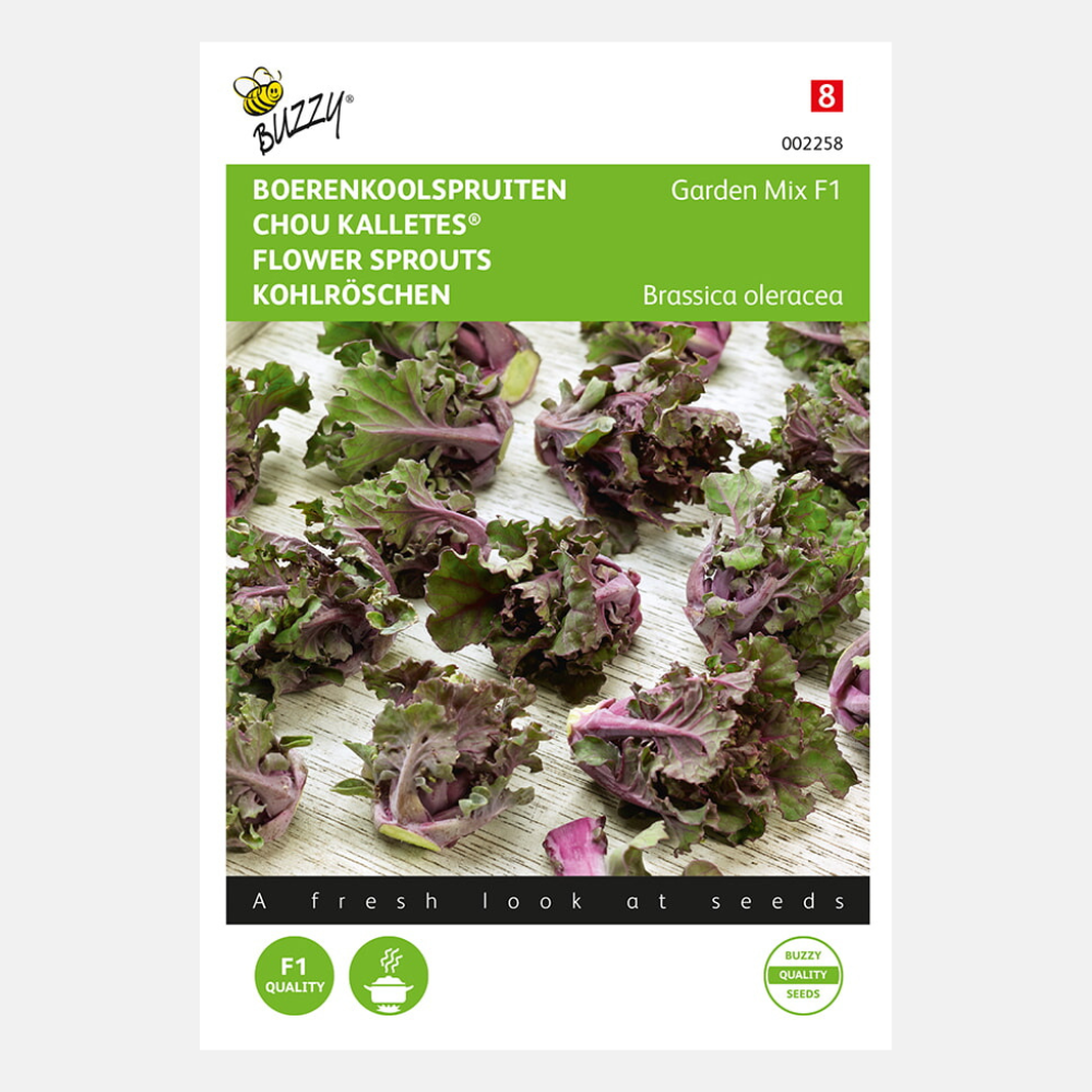 Boerenkoolspruitjes/Kalettes 'Garden Mix' F1