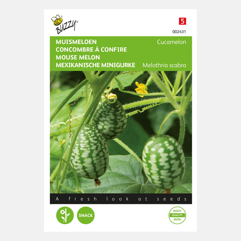 Cucamelons melon souris 15 graines Buzzy Seeds 