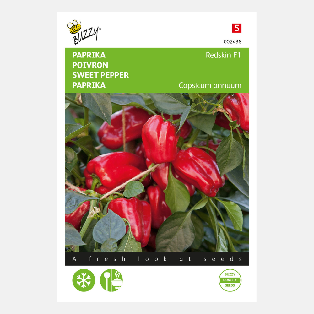 Paprika Snack Patio - rot - Paragon BV 6 zdn