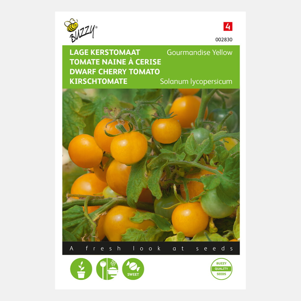 Tomate Gourmandise (patio cerise jaune) 10 zdn