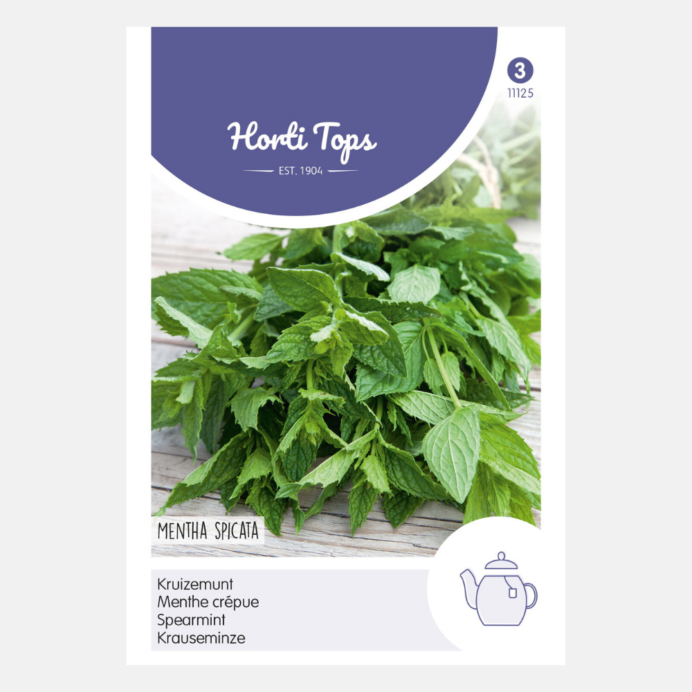 Menthe - Menthe verte (thé) - contenu : 0,2 grammes