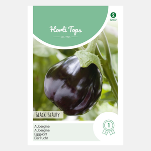 Aubergine Black Beauty 1 Gramm